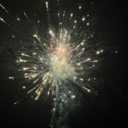 一腔诗意喂了狗