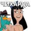 333 БРГ ПАСАН