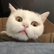 亲率数十万健儿