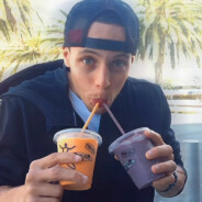 翻斗花园燕双鹰