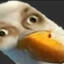 Ptaku
