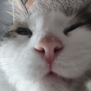 Ermoks - steam id 76561199101559023