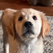 blondmochi