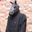 Horse coat