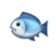 钟吾突击手钱增干