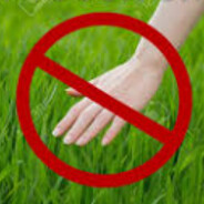 don't touch grass