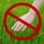 don&#039;t touch grass