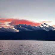 今天成为糕手了吗？