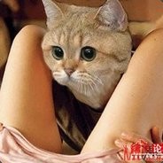 玩家头像