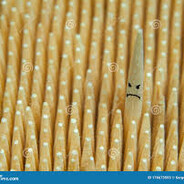 Nefarious Toothpick