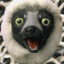 Zoboomafoo