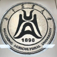 小头爸爸和图图妈