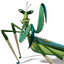 &lt; Mantis &gt;