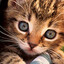 Avatar of Ruados.sh