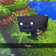 Pigga