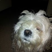 Gucci - steam id 76561197960473912