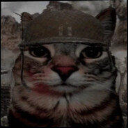 afelax05 avatar
