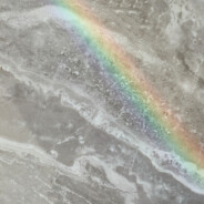 有知识的大西瓜