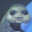 ⸘FrACA‽