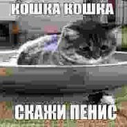 EBLN I Крокодил