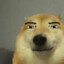 cachorro_chupetao