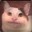 prededoor avatar