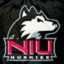 Husky_niu