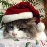 progamerdavid809real