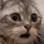 kittocatto 🙂