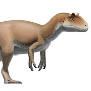 The Local Allosaurus