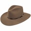 tanfedora