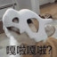 AKA~WZ八一贺列