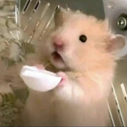 小张今天要早睡