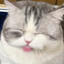 rrrrraaz