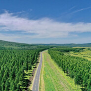 DannyDannyDannyDannyDanny