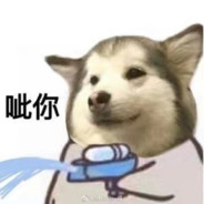 猪突猛进涵涵哥