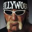 Hollywood Hulk Hogan