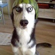 披着貂毛的流浪汉