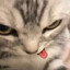 QuiRkY cAt ;p