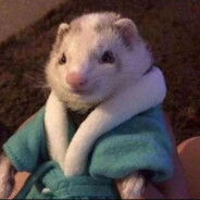 Saltyweasel - steam id 76561197960691662