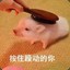 辅导员邓老师