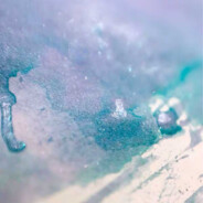 隐藏不住的真情