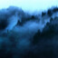 Mist