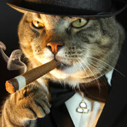 cot Steam avatar
