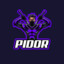 PIDOR