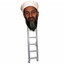 Osama Bin Ladder
