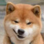 狸先生丶