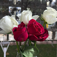 Sam666 - steam id 76561198390977272