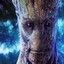 Alpha Big Nuts