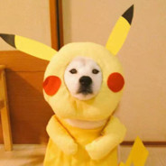 看看你们这群虾纸